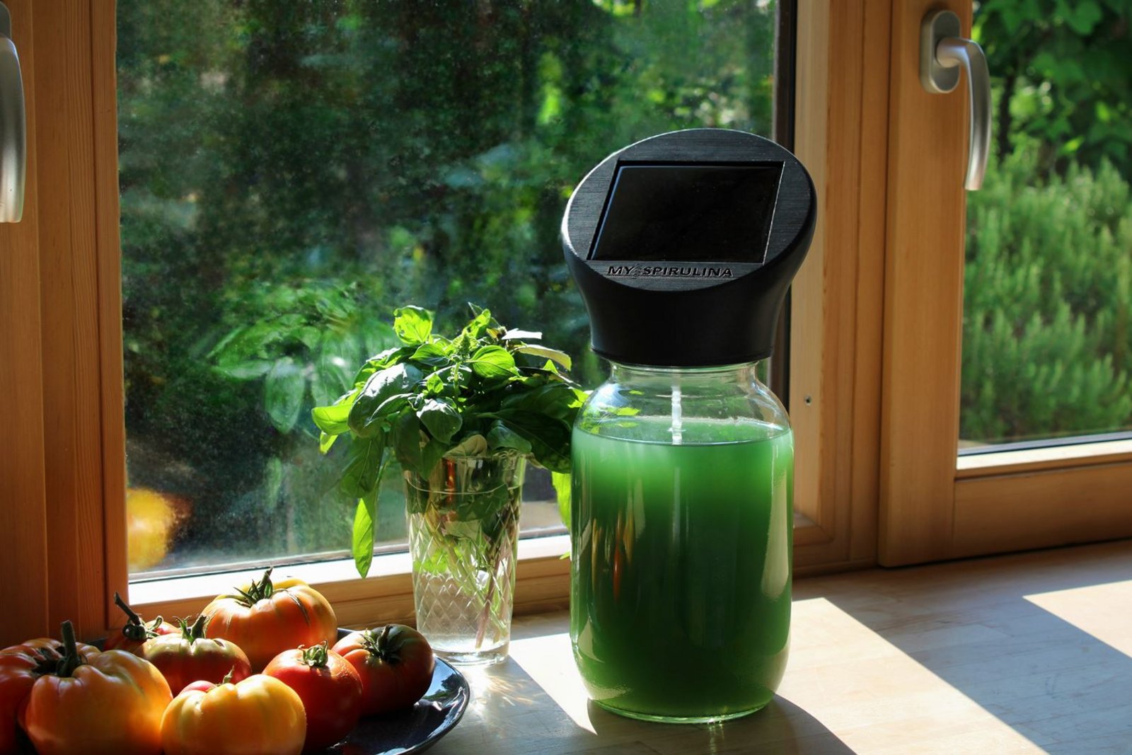 Auf einem Fensterbrett mit Blick ins Grüne aus dem Fester, steht ein Glas mit grüner Flüssigkeit und Erntefilter. Links daneben steht eine Schale Obst