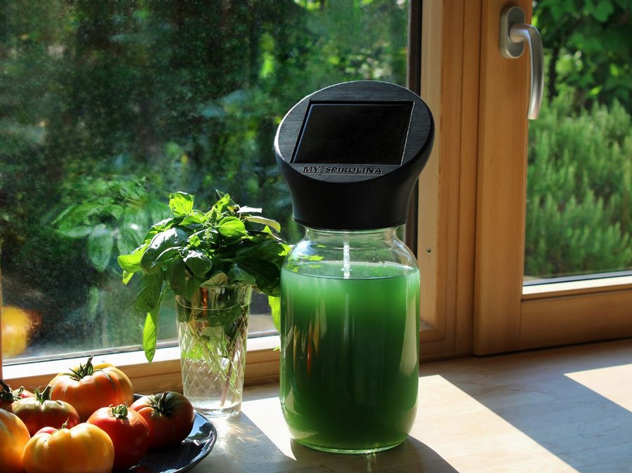 Auf einem Fensterbrett mit Blick ins Grüne aus dem Fester, steht ein Glas mit grüner Flüssigkeit und Erntefilter. Links daneben steht eine Schale Obst