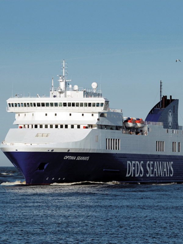 Auf blauem Wasser schwimmt ein Dampfer von DFDS. Im Hintergrund ist blauer Himmel und es fliegt eine Möwe in dem Bild. 