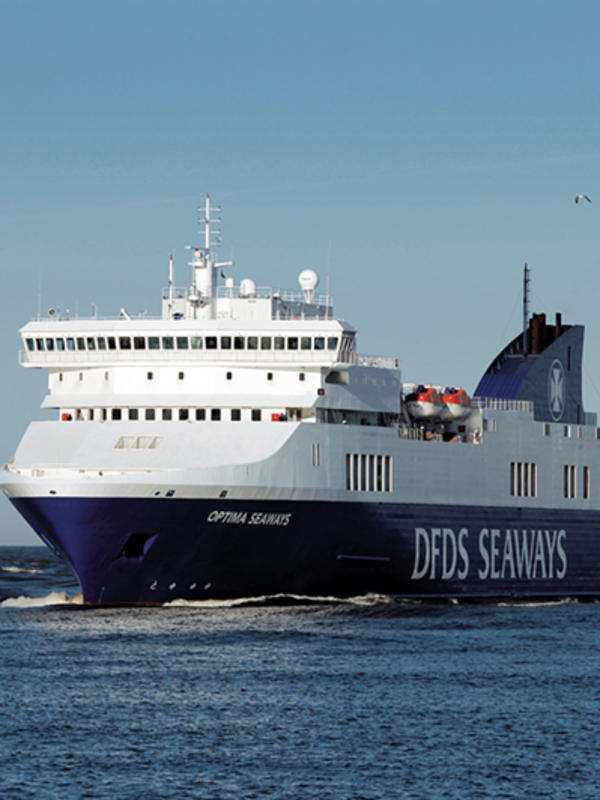 Auf blauem Wasser schwimmt ein Dampfer von DFDS. Im Hintergrund ist blauer Himmel und es fliegt eine Möwe in dem Bild. 