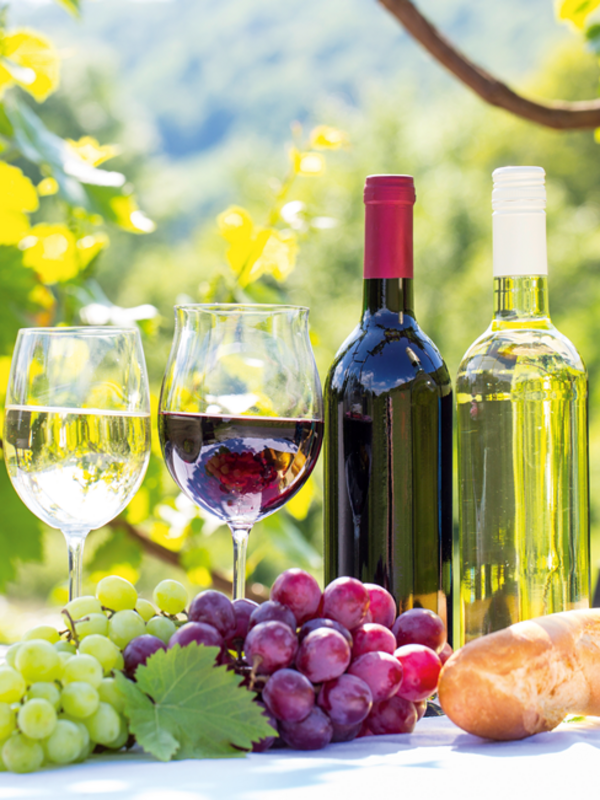 Rechts im Bild eine Flasche Rot- und Weißwein nebeneinander, daneben 2 gefüllte Weingläser je eins mit Rot- und eines mit Weißwein. Davor liegt ein Stangenbaguette und blaue und grüne Weintrauben. Im Hintergrund sind Äste eins Baumes