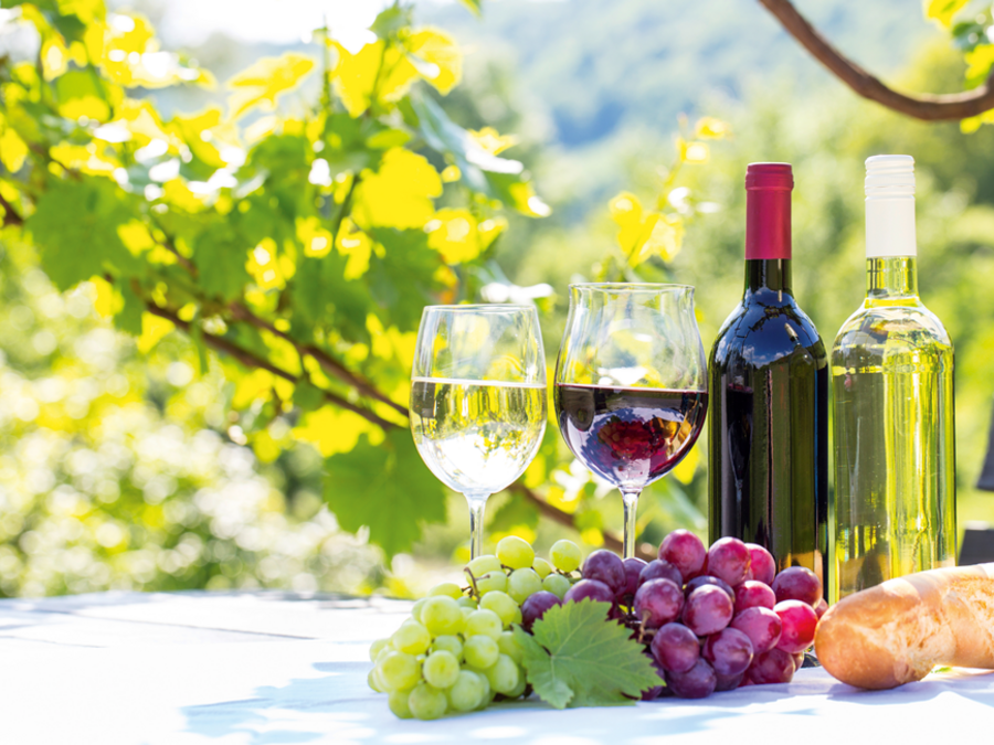 Rechts im Bild eine Flasche Rot- und Weißwein nebeneinander, daneben 2 gefüllte Weingläser je eins mit Rot- und eines mit Weißwein. Davor liegt ein Stangenbaguette und blaue und grüne Weintrauben. Im Hintergrund sind Äste eins Baumes