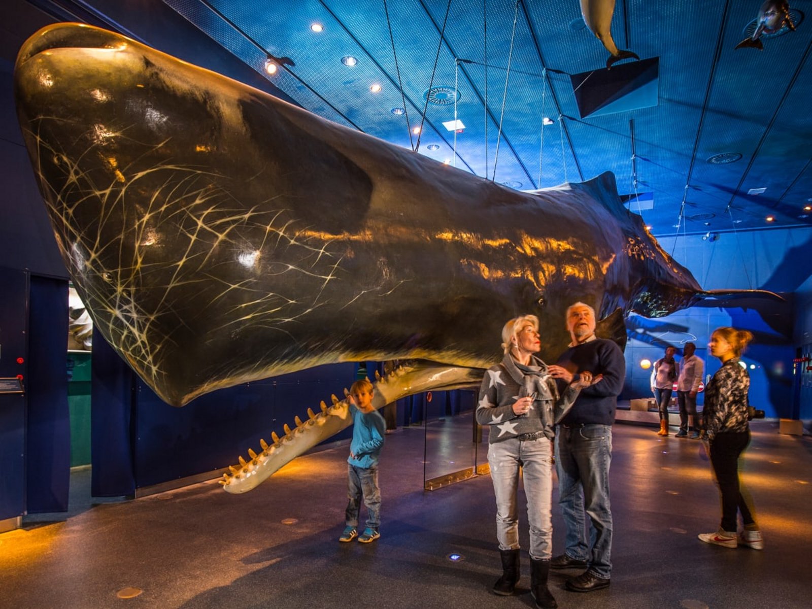 Mehrere Besucher im Museum vor einem Walskelett. 
